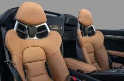 
										2019 Porsche 911 Speedster limited full									
